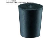 SANEI/S PH25-1