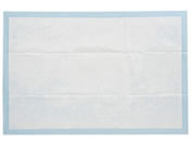 �s�W���� ��ԂȂ��҂�����V�[�c 10���� 8-2069-01