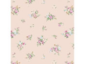 �T�T�K��/��� ���f�B���[�Y �S�� 50��/49-2501