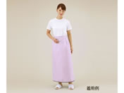 �A�Y����/�����Ɠ�����G�v���� �s���N/8-3966-01