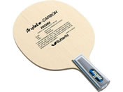 o^tC rXJA-CS 24010