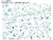 CAMO/v~A M[X~^[ XmE 1.8mX3m PRM1.8X3SC
