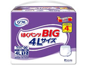 ���t�� �͂��p���c BIG 4L�T�C�Y 12����/8-4641-17