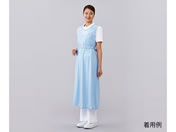 �A�Y����/������G�v����(�h�����H)�u���[/8-5909-02