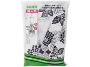 ��{�Y��/�K�[�[ ���˂܂� �w�l M/60-8082-50