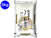 �_��/�V�����Y �����Ђ��� 5kg