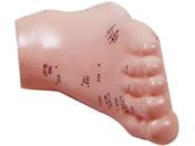 Erler-Zimmer/�ڃ��f�� ���ڗp/8-635-02