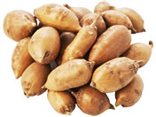 AsIX 1pbN 90g