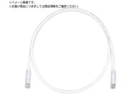 PANDUIT/JeS6UTPpb`R[h 15m ItzCg UTPSP15MY
