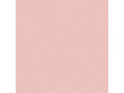 �剤����/�Đ��F��p�� 8�c��10�� �������� CUD