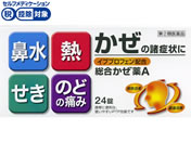 ����)�c������i ����������A �N�j�q�� PTP 24���y�w���2�ވ��i�z