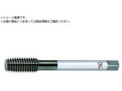 OSG/VPニューロールタップ 8317492 VP-NRT-P-STD1-M2.6 X 0.45 8317492