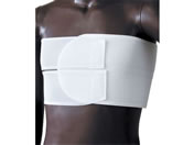 ���{�q��/�j���[�o�X�g�^�C�_�u��/NE-617