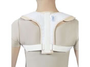 �|��/�j���[�g���r�N���o���h L/037524