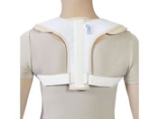 �|��/�j���[�g���r�N���o���h LL/037525