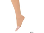 �A���P�A/�A���V���N�E2 �n�C�\�b�N�X(�ܐ�Ȃ�)���C�g�u���E�� L