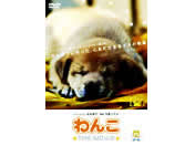 ��� THE MOVIE