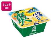 ���b�e/�u �Ⓚ�p�C�� 185mL�~9��