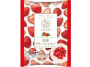 mikata/���Y�N���b�V�������� 100g