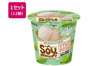 NVG/Soy oj 105ml~12