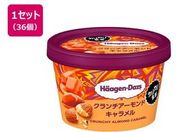 �n�[�Q���_�b�c/�~�j�J�b�v �N�����`�A�[�����h�L�������� 92mL�~36��