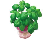 �A�[�e�b�N �o�W�� 0.5mL ���� 102989