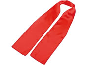 A[ebN/\tgTe XJ[t /18857