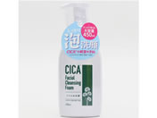 qR[|[V CICA tH[ 450ml IT-2111-01