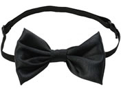 A[ebN/\tgTe lN^C /19196