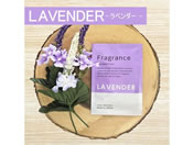 H/Fragrance ڂ x_[ 100{/FO-L