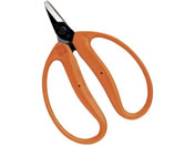 �ߐ�/�݂����� ��^���n �ܓ�/M-100