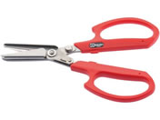 �T�{�e�� �؂��Ă��߂���n��