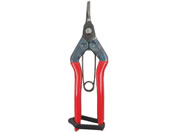 �ߐ� �c���� �ɋȐn BP S-230