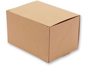 �V���W�}/�l�I�N���t�g �P�[�LBOX 10.5�~15 20��/4248401