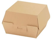 �V���W�}/NF�l�I�N���t�g �o�[�K�[BOX L 20��/4248315