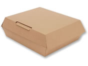 �V���W�}/NF�l�I�N���t�g �����`BOX L 10��/4248318