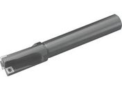 Z/Gh~/MEF32-S25