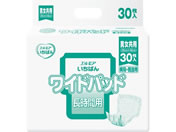 J~/GA ΂񃏃Chpbh 30