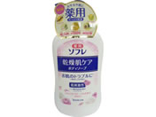 oXN p \t PA {fB\[v {550mL