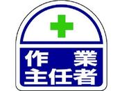 jbg w^CpXebJ[ƎC PPXebJ 35~35 2