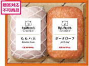 v}n E㊯RnCCt|[Ne[uďC MtgZbg HL-38