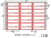 G)NANA/iitH[ ׎D^Cv 15~10C` 12/M15CP