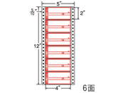 NANA iitH[ ׎DĔ 5~12C` 6 R5AP