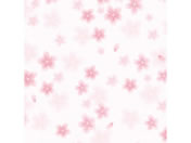 ササガワ/包装紙 和ごころ桜 半才 10枚ロール/49-7510