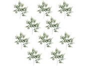 A[ebN [  10{Zbg 70342