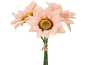 ~jTt[sbN s[`sN #2 PE PK FM004009-002