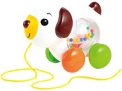 �A�[�e�b�N ������ۃg�R�g�R ���� 21975