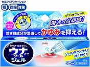 ����)���a �E�i�R�[���N�[���W�F�� 15g