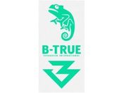 Go[O[ B-TRUE O[}[NfBJ O[