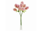   gsbN 3{ #2 PINK